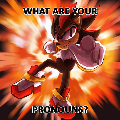 Shadow the Hedgehog